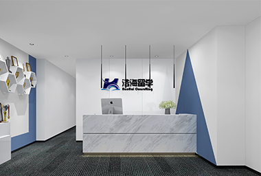 湖州留学咨询公司办公室装修设计_案例效果图